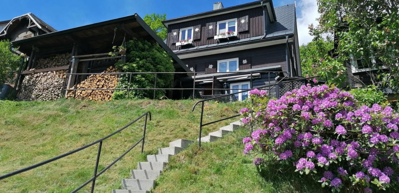 Mueller Apartment Steinach (Thuringia)